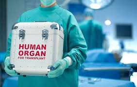Messina. Donazione di organi in crescita ma anche tante perplessità