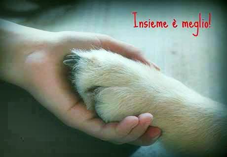 Educare al rispetto degli animali