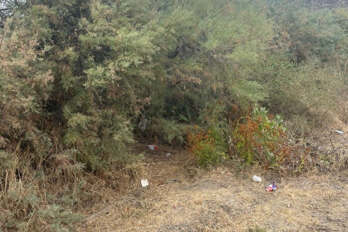 Milazzo. Il Comune diffida Legambiente per le condizioni di degrado in cui versa il “Boschetto dell’Ancora”.