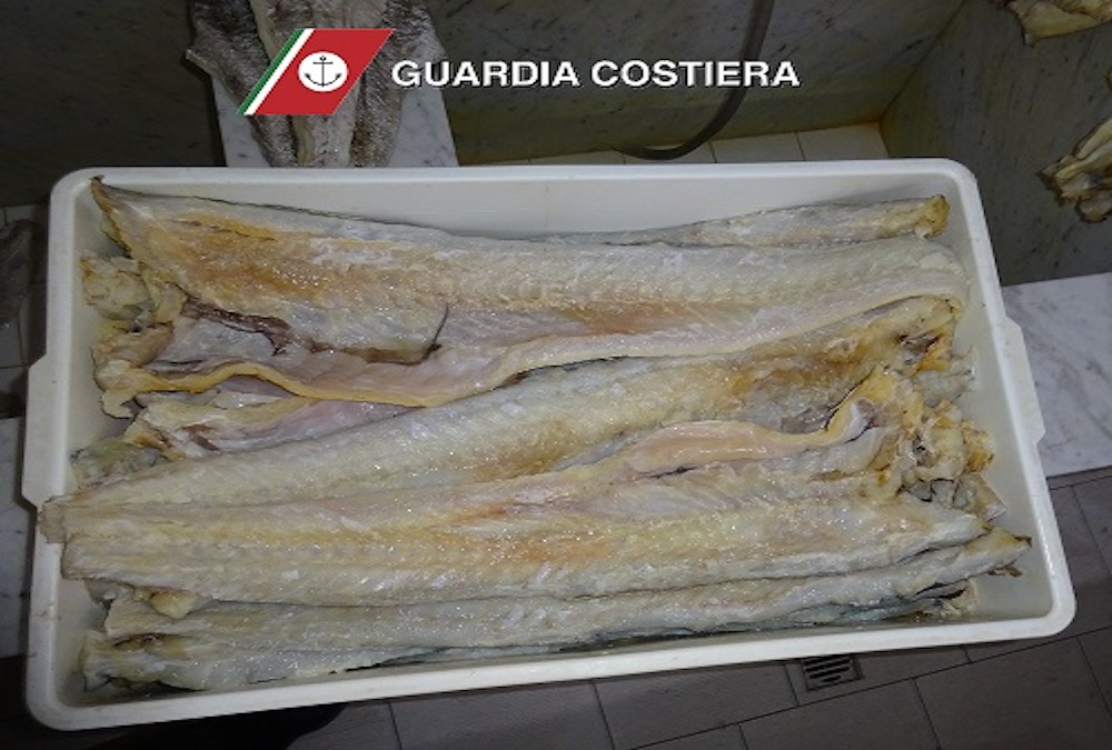 Santa Lucia di Mela. Stoccafisso adulterato, sequestro della Guardia Costiera