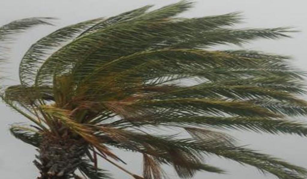 Maltempo e danni. Due feriti a Messina per la caduta di un albero. A Novara di Sicilia raffica di vento da record!