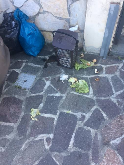 Milazzo. Le buste della raccolta differenziata "dimenticate" sulla strada.